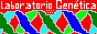 laboratoria.gif