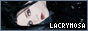 fl474.jpg