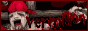 v3rmillion.png