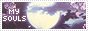 archived 88x31 button #67023