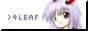 4leaf.png