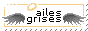 plumes.gif