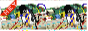 archived 88x31 button #67042