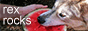 n-ir.png