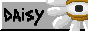 daisy.gif