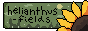 helianthus-fields-button.png