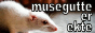 av70.png