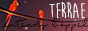 5lqv.png