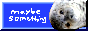 archived 88x31 button #67717