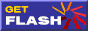 getflash.png