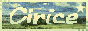 ciricebutton.gif
