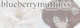 blueberrymuffinssbutton.png