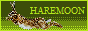 haremoon.png