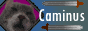 caminus.gif