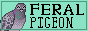 feral-pigeon-button.gif