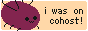 buttoneggbug.png