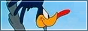 roadrunnerbutton.png