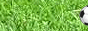 archived 88x31 button #68529