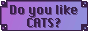 cat-boop.gif
