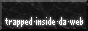 trapped-inside-da-web.gif