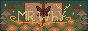 elwind.gif
