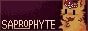 banners.jpg