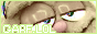 garfbutton.gif