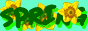 spring.png