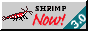 smallharlequinm.png