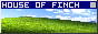 Finch0.png
