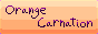 orange_carnation_button_STATIC.png