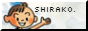 shirako.png