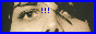 OLIVEOILANDBALSAMICBUTTON.png