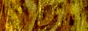 archived 88x31 button #68862