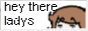 sumsluvshyenaz.png