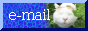 email.png