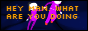 heymanwhatareyoudoing.png