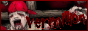 71klb5.png