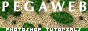 pegaweb.gif