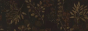 wolfbutton.gif