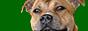 Heartland_Prairie_5784_argon.JPG