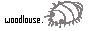 woodlouse.gif