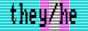pronoun-cga-they-he-trans.png