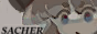 sacher3.png