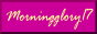 morningglory17.png