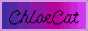 chloecat.png
