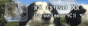tevito.gif