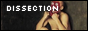 dissection.png