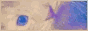 scarecrowbutch.png