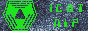 1catnipneo.gif